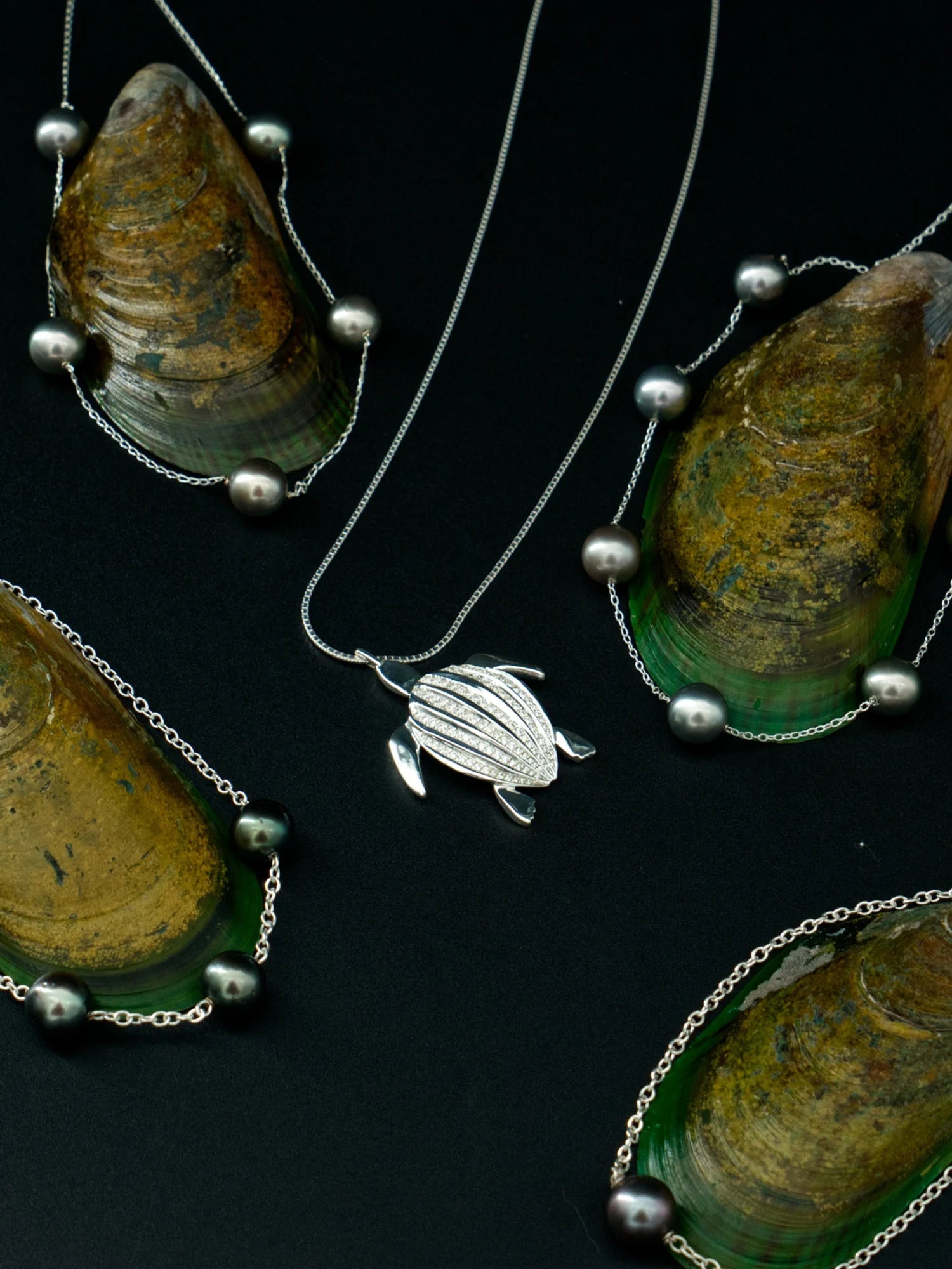 Les colliers de la collection Instinct sur leurs coquillages autour du pendentif tortue Luth | Honu