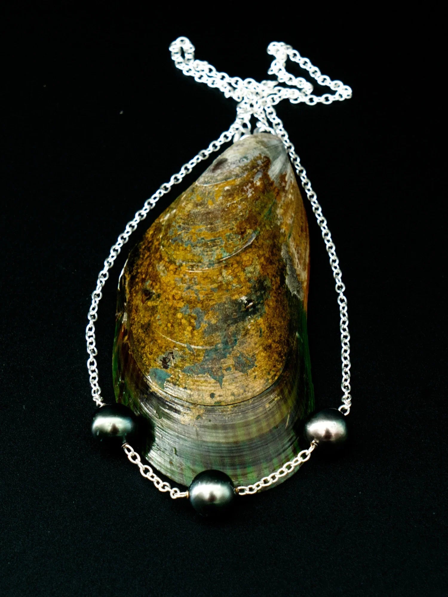 Le collier Latitude 9.42, ses trois perles de Tahiti, présenté sur un coquillage, de la collection Instinct | Honu