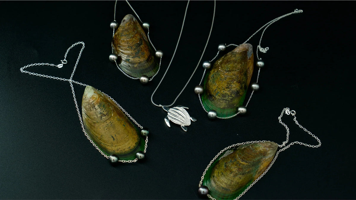Les colliers de la collection Instinct sur leurs coquillages, cadrage serré autour du pendentif tortue Luth | Honu