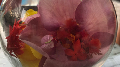 Bijouterie - Honu Handmade Jewellery