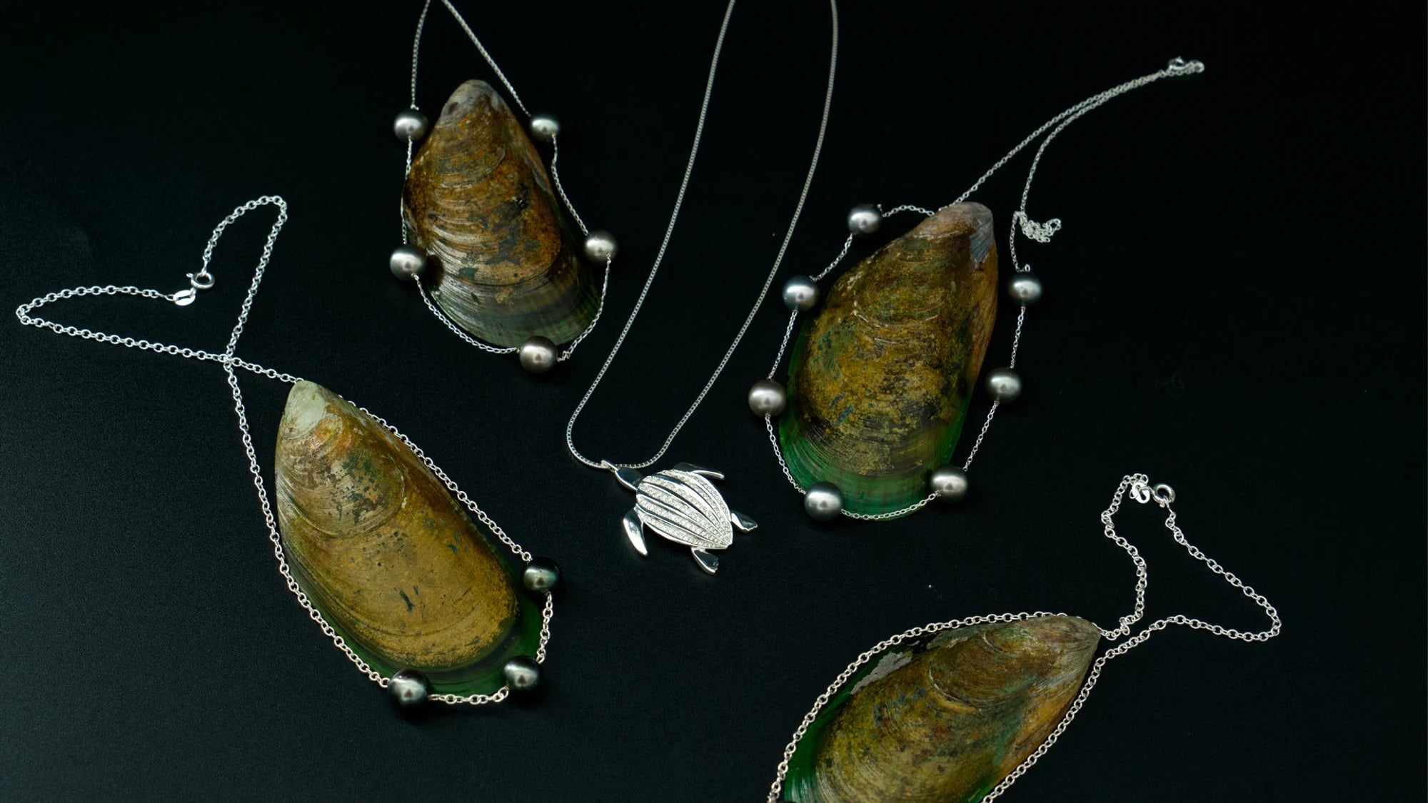 Les colliers de la collection Instinct sur leurs coquillages, le pendentif tortue Luth au centre, sur fond noir | Honu