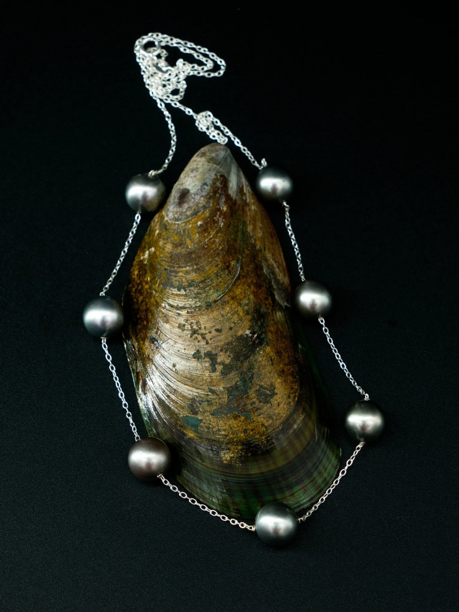 Le collier Émergence 21.98 présenté sur un coquillage, ses perles de Tahiti en couronne, de la collection Instinct | Honu