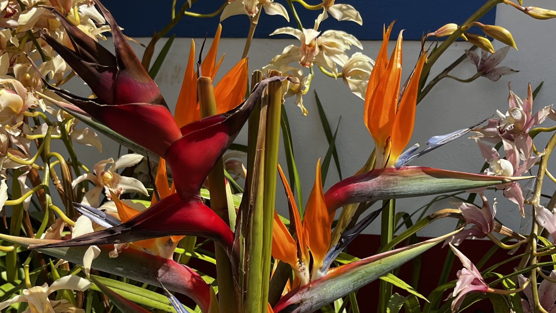 Collections Les Incontournables - Honu Handmade Jewellery